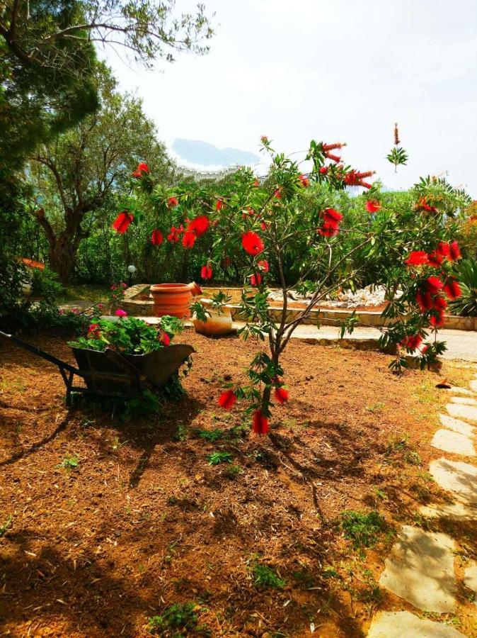 Villa Maroudia كيمي المظهر الخارجي الصورة